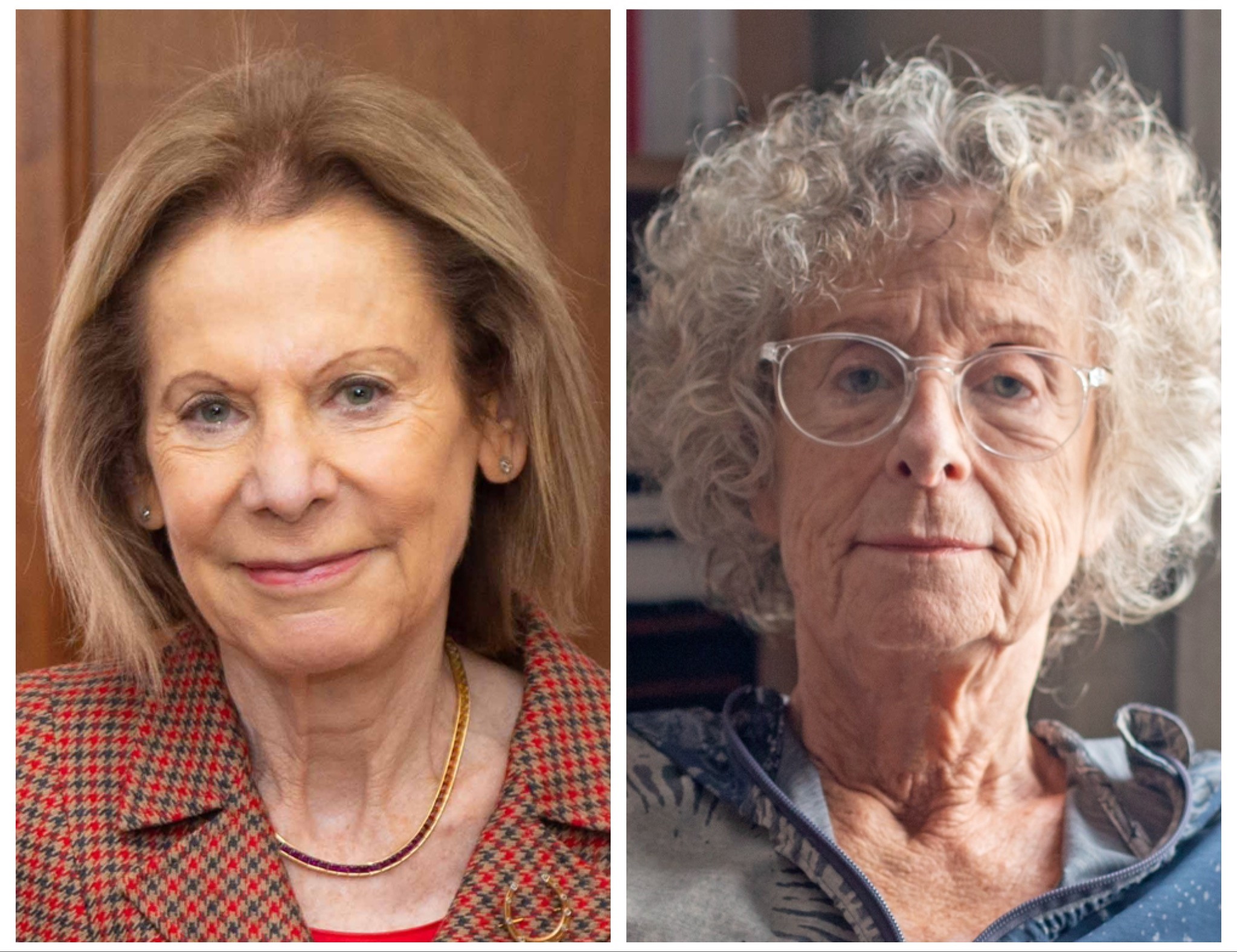 Las juezas Inés M. Weinberg y Alicia E. C. Ruiz ejercerán la Presidencia y la Vicepresidencia, respectivamente, durante el bienio 2024-2025. durant